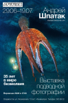 Выставка подводной фотографии Андрея  Шпатака